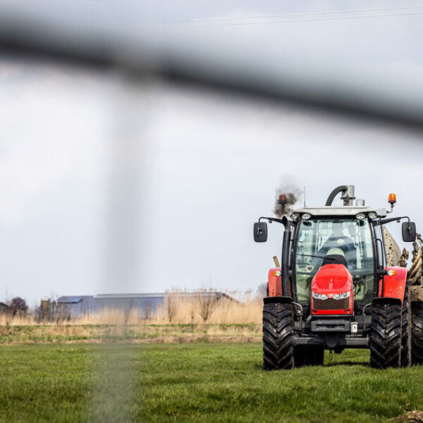 Jonge boeren voorzichtig positief over toekomst: 'Geloof dat er een weg is die recht doet aan alle partijen'
