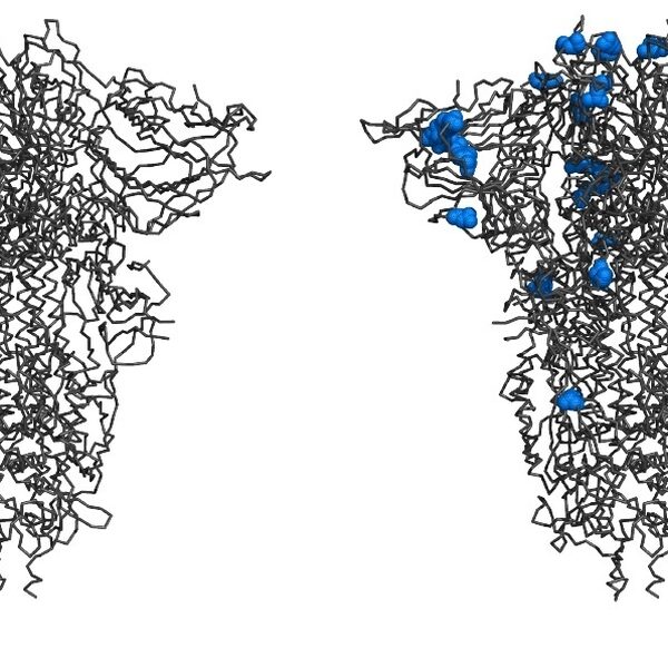 Podcast De Dag: zoeken naar gevaarlijke mutanten