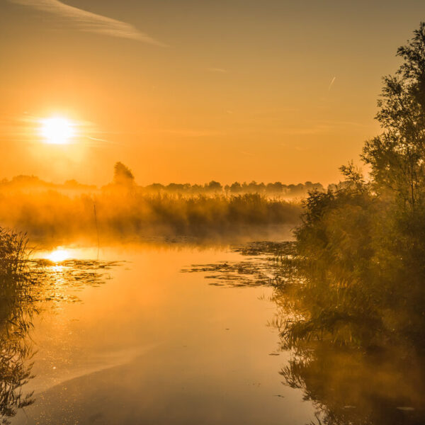Waterschapsverkiezingen: belang van het waterpeil