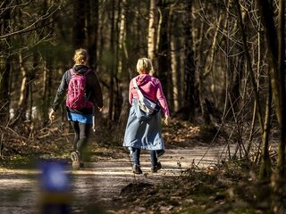 Voetklachten door het wandelen? Dit kun je doen