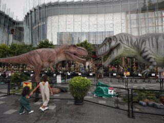 De Zomerdag: levende dino's