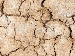 De droogte zorgt voor problemen in de natuur