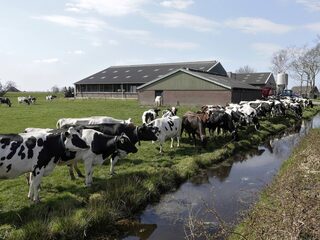 Zorgen de stikstofplannen voor een nieuwe emigratiegolf onder boeren?