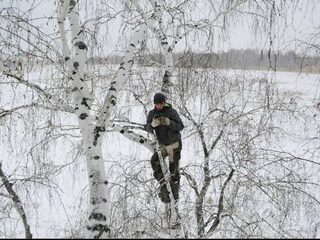 Deze Russische student klom dagelijks een boom in voor zijn Zoom colleges