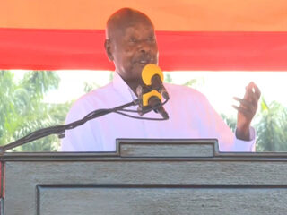 'Als er geen brood is, dan eet je maar cassave'