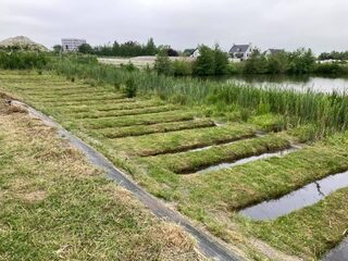 Groot onderzoek naar plastic in waterdieren