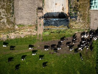 ‘Nieuwe landbouwminister moet aan eind van carrière zitten en geen afbreukrisico vrezen’