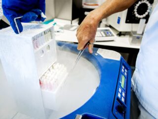 De Zomerdag: sjoemelende zaadartsen