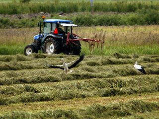 Bibi Dumon Tak kwam terecht in haar eigen boerenprotest