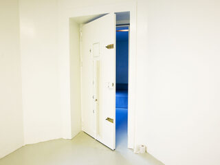 'Ons tbs-systeem gaat ten onder aan het eigen succes'