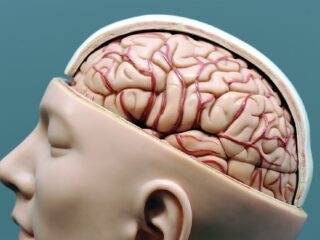 Hersenstimulatiesoftware helpt lichaam beter te presteren