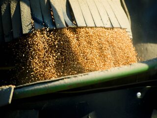 Afrika hongert en Oekraïne heeft tarwe, maar is de Russische blokkade te breken?