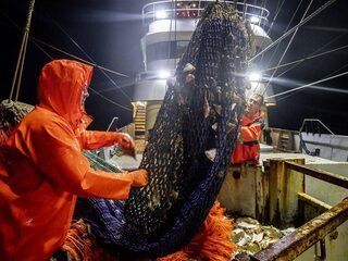 Podcast De Dag: de pijn van de Nederlandse pulsvissers