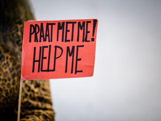 5 oplossingen voor de geestelijke gezondheidszorg (GGZ)