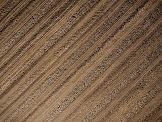 Het is te droog in Nederland: 'Het probleem wordt alleen nog maar groter'