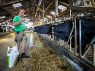 Regelwerk weerhoudt boeren van melden drugsafval: 'Er moet een vliegende brigade komen die het opruimen overneemt'