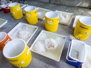 Jortcast: Nederland is een narcostaat, maar pas op met paardenmiddelen in aanpak