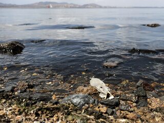 Het Spaanse meer Mar Menor krijgt eigen rechten