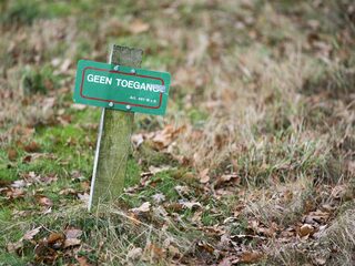 'De koning heeft een voorbeeldfunctie, het zou goed zijn als hij zegt: ik ben vegetariër'