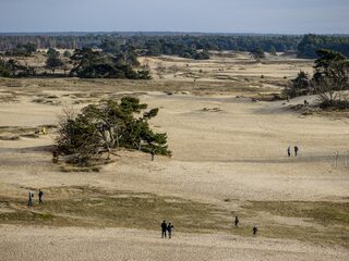 Studenten Archeologie vinden onderduikershol