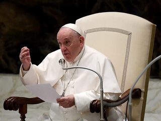 'Mensen kiezen voor een kat in plaats van een kind'