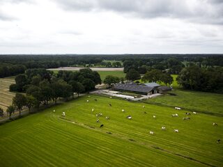 Kabinet komt vanmiddag met nieuwe stikstofplannen: ‘Familiebedrijven kijken met angst en beven’