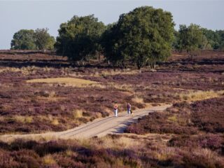 Podcast De Dag: een lesje Europese stikstofregels