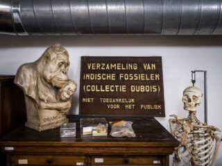 Indonesië vraagt Nederland kunststukken terug te geven