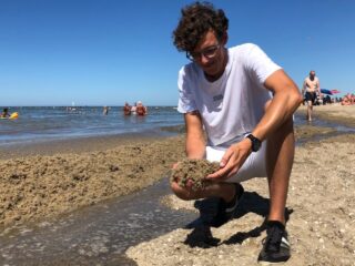 De Nederlandse kust ligt vol met mosdiertjes