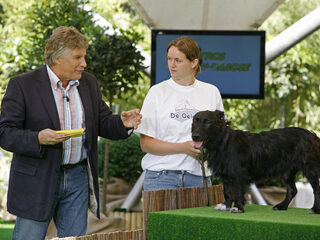 Martin Gaus over wat de nieuwe dierenwet betekent voor honden, katten en konijnen
