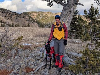 Elanden in de tuin, uitzicht op de Rocky Mountains en een grizzlybeer in de buurt