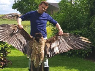 Waarom vliegen bepaalde vogels tegen windmolens en hoe kun je dit voorkomen?