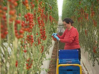 Podcast De Dag: Nederland, lagelonenland
