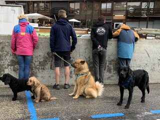 Tour-column #10: Tour du Chien