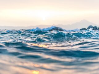 Het oceaanleven kan niet zonder metalen