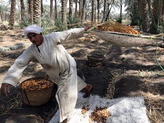 Vrees voor broodrellen in grote delen van de wereld