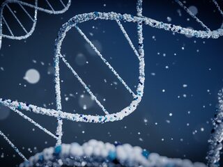 Nieuwe DNA-technieken gebruikt in Nederland: meer informatie met minder DNA