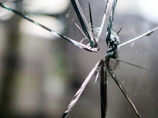 Doden na politie-ingrijpen waren vaak verward