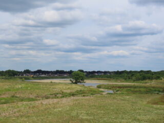 Grensmaas: van stinkende rivier tot bijzondere natuur