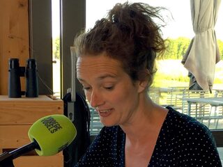 Dankzij metershoog geborduurd bos worden 100.000 bomen geplant