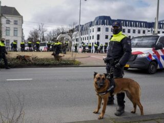 Wordt er goed gezorgd voor politiehonden- en paarden? 'Het zijn onze collega’s'