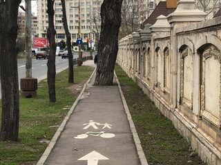Roemenen zien door de bomen het fietspad niet meer