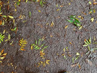 Tips voor mentale weerbaarheid in weer een coronawinter