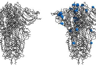 Podcast De Dag: zoeken naar gevaarlijke mutanten