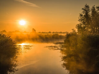 Waterschapsverkiezingen: belang van het waterpeil