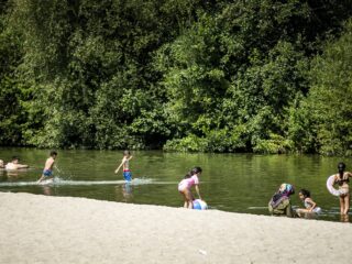 Zwemmen tijdens hittegolf? Zo herken je blauwalg in het water