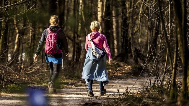 Voetklachten door het wandelen? Dit kun je doen