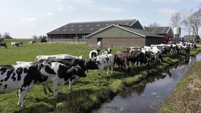 Zorgen de stikstofplannen voor een nieuwe emigratiegolf onder boeren?