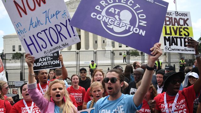 De Zomerdag: de Amerikaanse anti-abortuslobby