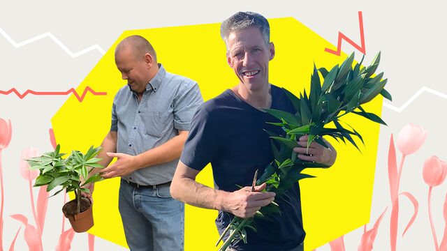 Verzet tegen de bloemen-Amazon van de sierteeltsector